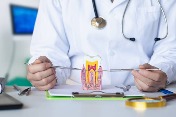 Best Urgent Dental Care for Toothache in Mena, AR